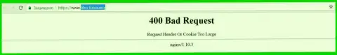Официальный сервис брокерской компании FIBO-forex Org некоторое количество дней вне доступа и выдает - 400 Bad Request (ошибка)