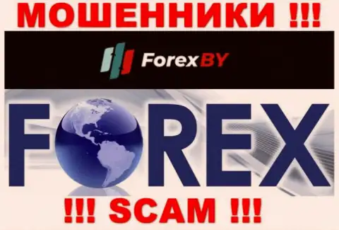 Будьте бдительны, направление деятельности Forex BY, FOREX - это лохотрон !!!
