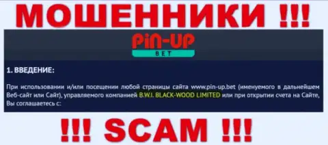 Юридическое лицо компании Pin Up Bet - это Б.В.И. БЛЕК-ВУД ЛТД, инфа взята с официального сайта