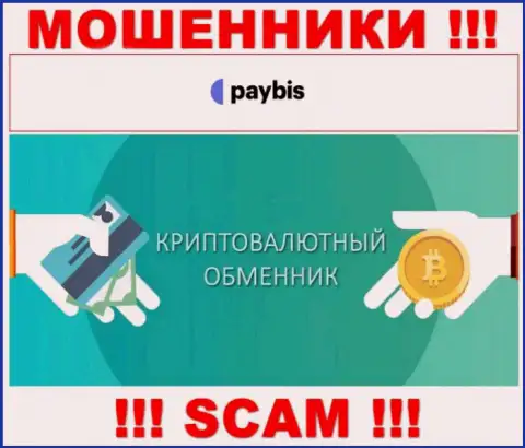 Крипто обменник - это направление деятельности незаконно действующей компании PayBis