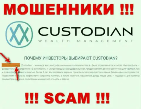 Юридическим лицом, владеющим internet-мошенниками Кустодиан, является ООО Кастодиан
