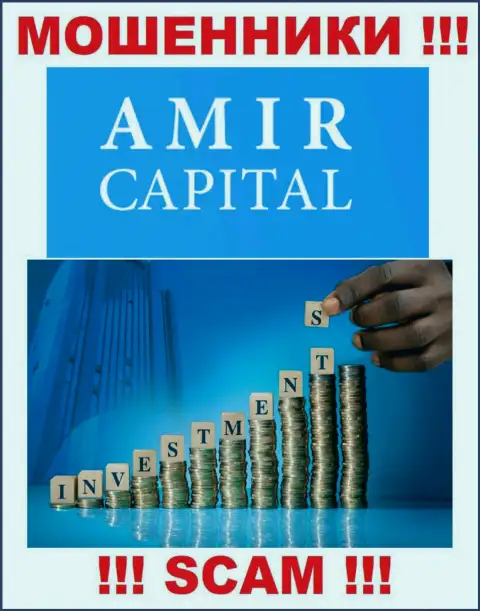 Не отдавайте деньги в Amir Capital, направление деятельности которых - Инвестиции