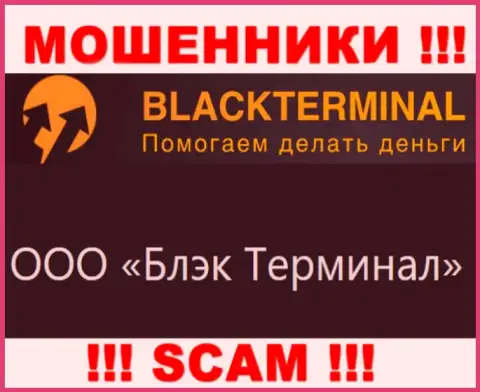 На официальном информационном ресурсе BlackTerminal написано, что юридическое лицо конторы - ООО Блэк Терминал