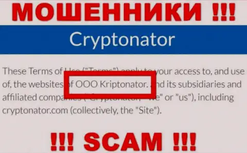 Организация Криптонатор находится под крышей компании OOO Криптонатор