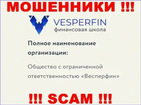 Инфа про юридическое лицо интернет мошенников ВесперФин Ком - ООО Весперфин, не обезопасит Вас от их лап