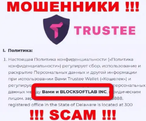 БЛОКСОФТЛАБ Инк управляет компанией TrusteeGlobal Com - это ВОРЮГИ !!!
