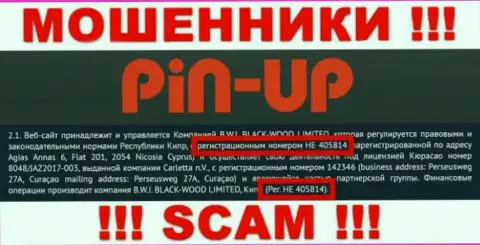 Регистрационный номер еще одних кидал сети Интернет компании Pin-Up Casino: HE 405814