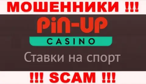 Основная деятельность PinUp Casino - Casino, осторожно, промышляют неправомерно