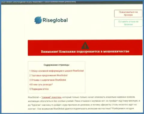 Внимательно просмотрите предложения сотрудничества RiseGlobal Ltd, в конторе дурачат (обзор деятельности)