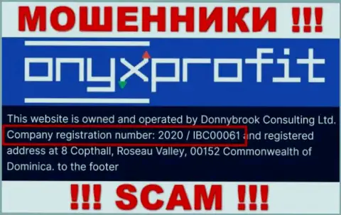 Регистрационный номер, который присвоен конторе Оникс Профит - 2020 / IBC00061