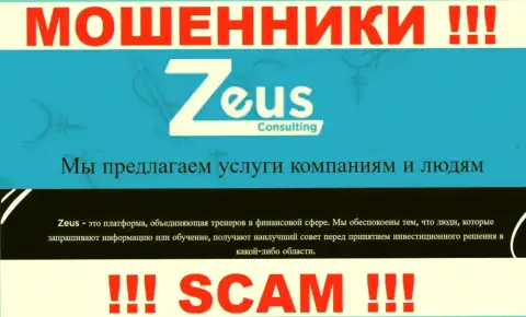 Тип деятельности интернет-мошенников Zeus Consulting - это Consulting, но знайте это обман !!!