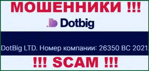 Номер регистрации мошенников Dot Big, расположенный ими на их веб-сайте: 26350 BC 2021
