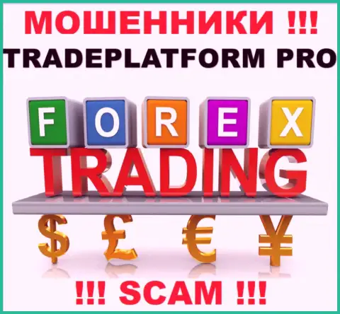 Не верьте, что работа TradePlatform Pro в направлении Форекс законная