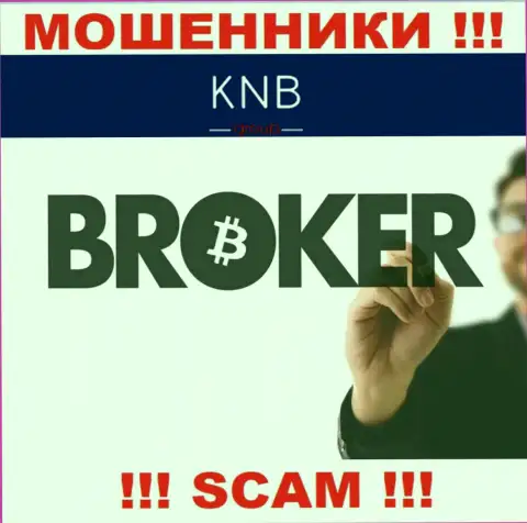 Broker - в данном направлении предоставляют свои услуги интернет мошенники КНБ Групп Лимитед