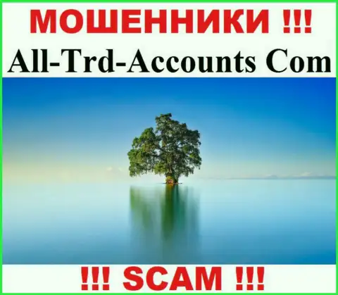 All Trd Accounts крадут вклады и выходят сухими из воды - они скрывают сведения о юрисдикции