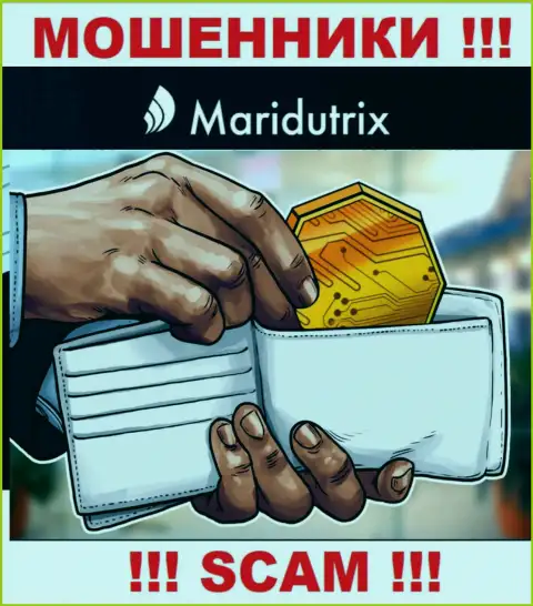 Крипто кошелек - именно в такой сфере промышляют коварные internet мошенники Maridutrix Com