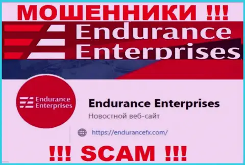 Установить контакт с интернет-мошенниками из организации EnduranceFX Вы сможете, если отправите сообщение на их электронный адрес
