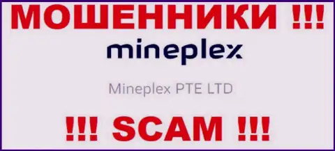 Владельцами Мине Плекс является контора - Mineplex PTE LTD