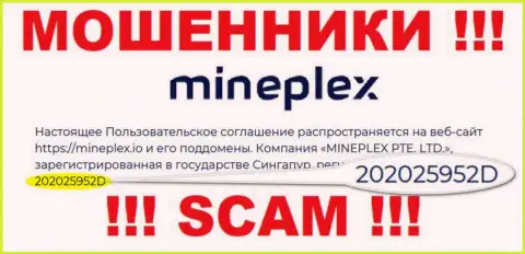 Рег. номер очередной мошеннической организации Мине Плекс - 202025952D