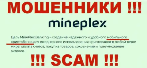 Mineplex PTE LTD - это интернет лохотронщики !!! Направление деятельности которых - Крипто-банк