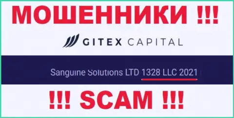 Регистрационный номер компании Гитекс Капитал - 1328LLC2021