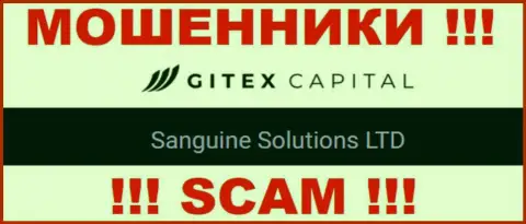 Юр лицо GitexCapital это Sanguine Solutions LTD, именно такую инфу оставили кидалы на своем сайте