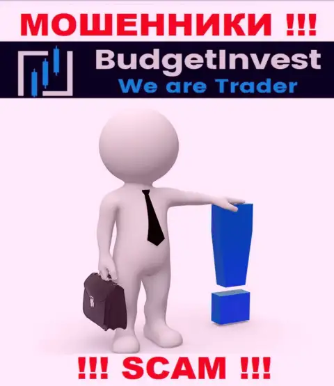 BudgetInvest Org - это интернет-мошенники !!! Не говорят, кто конкретно ими руководит