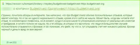 Автор отзыва заявляет о том, что BudgetInvest Org - это РАЗВОДИЛЫ !!! Работать с которыми довольно опасно