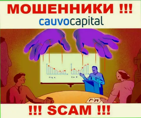 Очень опасно соглашаться иметь дело с internet-мошенниками Cauvo Capital, прикарманят финансовые средства