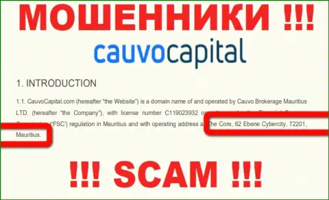 Нереально забрать назад вклады у компании Cauvo Brokerage Mauritius LTD - они отсиживаются в офшорной зоне по адресу: The Core, 62 Ebene Cybercity, 72201, Mauritius