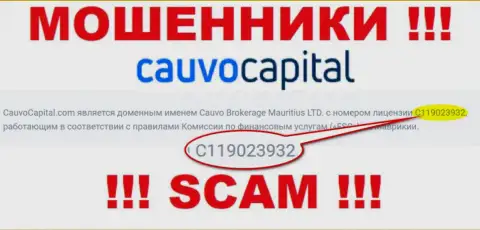 Мошенники CauvoCapital цинично лишают денег своих клиентов, хоть и разместили свою лицензию на интернет-сервисе