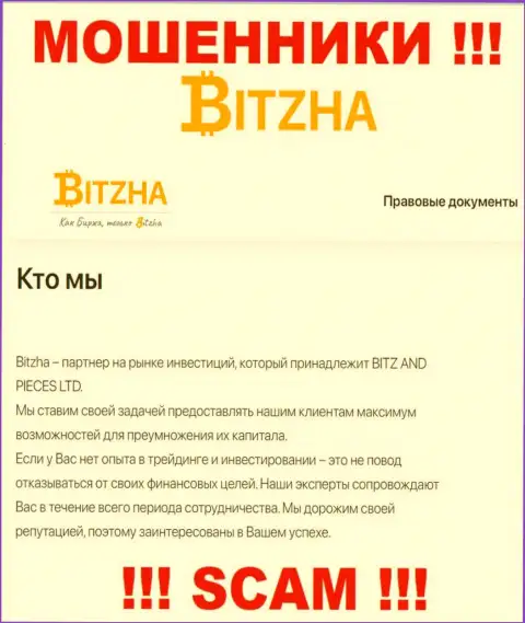 Bitzha24 - это чистой воды мошенники, тип деятельности которых - Инвестирование