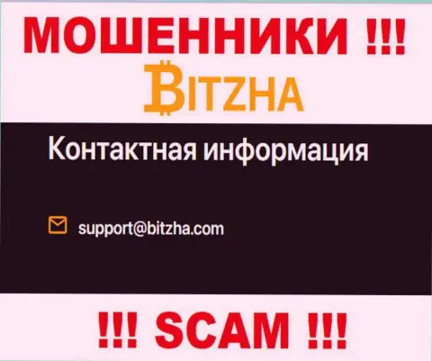 Электронный адрес лохотрона Bitzha24 Com, информация с официального сайта