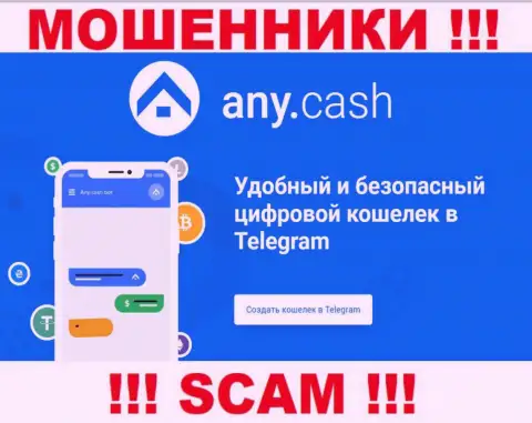 AnyCash - это интернет-лохотронщики, их работа - Виртуальный кошелек, нацелена на прикарманивание денежных средств наивных людей