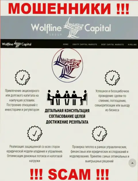 Не верьте, что область работы Wolfline Capital - Финансовый консалтинг легальна - это развод